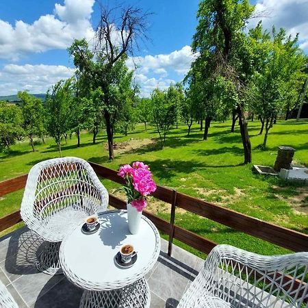 Vikendica Gaj Villa Gornji Milanovac Dış mekan fotoğraf