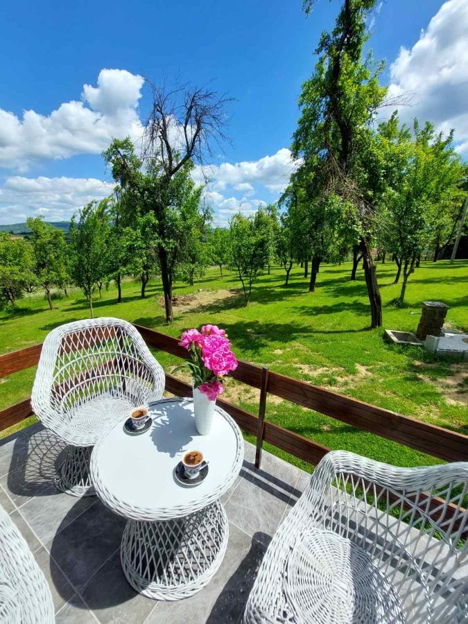 Vikendica Gaj Villa Gornji Milanovac Dış mekan fotoğraf