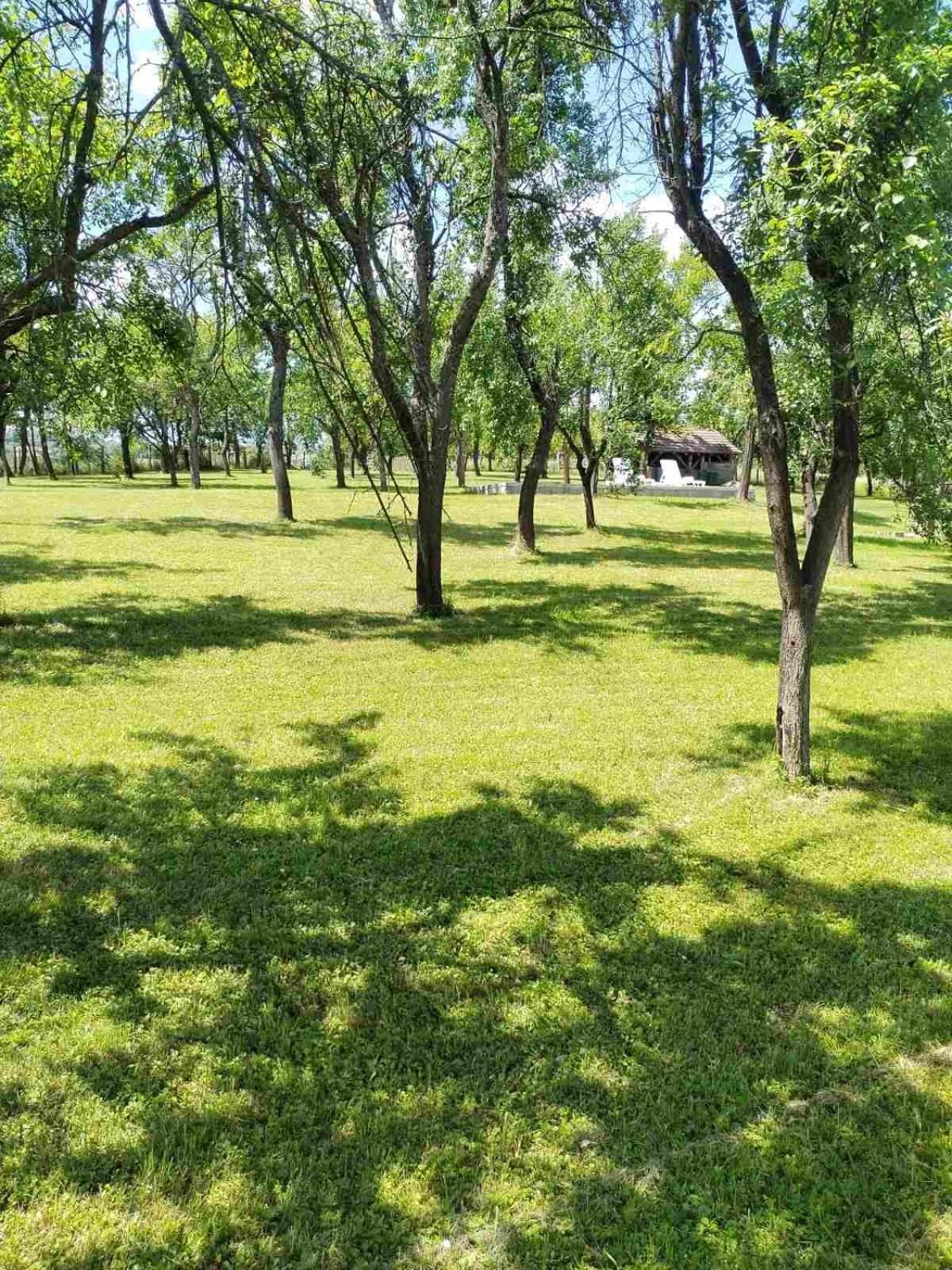 Vikendica Gaj Villa Gornji Milanovac Dış mekan fotoğraf